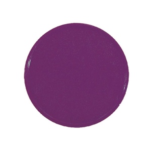 JETON CONSIGNE FORMAT 1 EUR 10