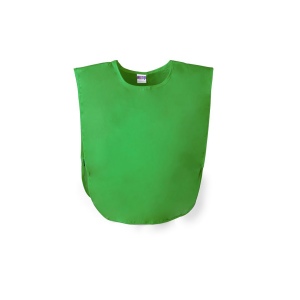Chasuble - Wiki 5