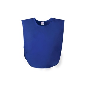 Chasuble - Wiki 3