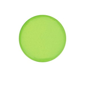 Frisbee - Watson 5