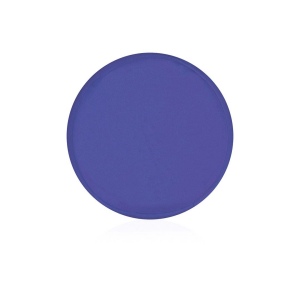 Frisbee - Watson 3