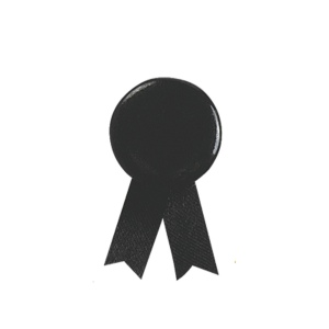 Pin's Ruban Solidario