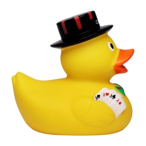 Canard sport MBW 5