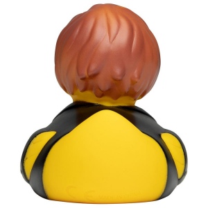 Canard fête MBW 4