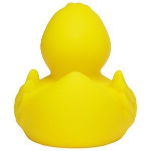 Canard uni MBW 3