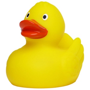 Canard uni MBW 4