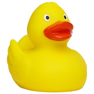 Canard uni MBW 5