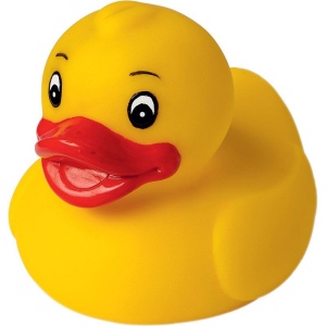 Canard uni MBW 2