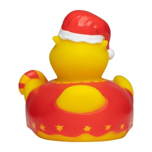 Canard hiver MBW 3