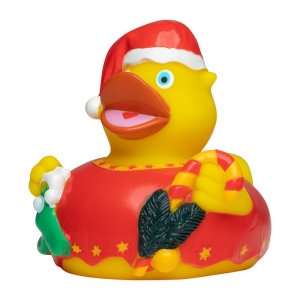 Canard hiver MBW 4