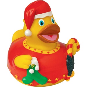 Canard hiver MBW 5