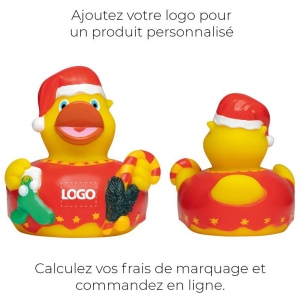 Canard hiver MBW 6