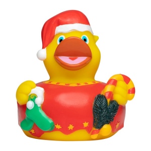 Canard hiver MBW