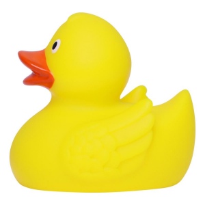 Canard de course MBW 4
