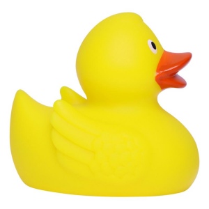 Canard de course MBW 5