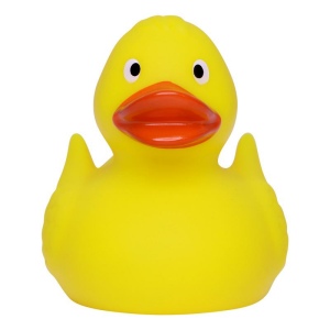 Canard de course MBW 2