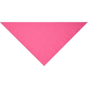 Bandana triangle Daiber 29