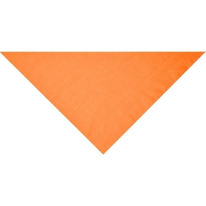 Bandana triangle Daiber 34
