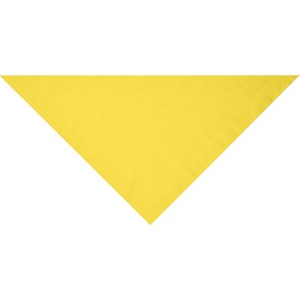 Bandana triangle Daiber 36