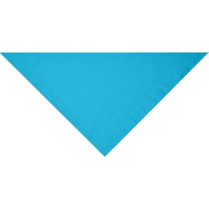 Bandana triangle Daiber 37