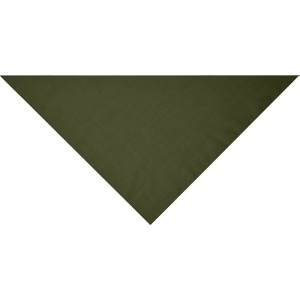 Bandana triangle Daiber 21