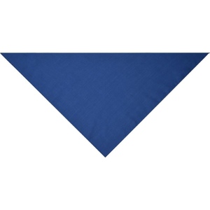 Bandana triangle Daiber 23