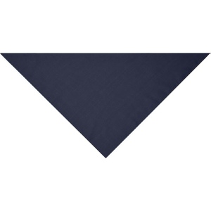 Bandana triangle Daiber 24