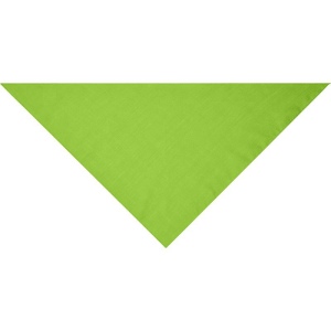 Bandana triangle Daiber 26