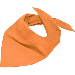 Bandana triangle Daiber 16