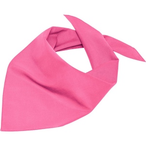 Bandana triangle Daiber 11