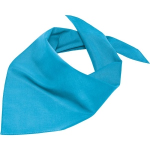 Bandana triangle Daiber 19