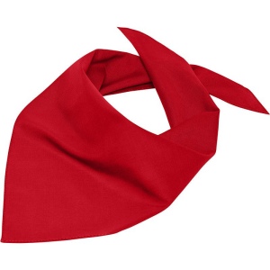 Bandana triangle Daiber 15