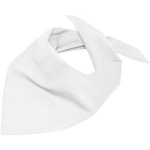 Bandana triangle Daiber 14