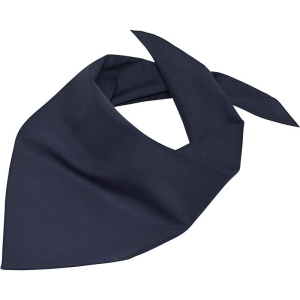 Bandana triangle Daiber 6