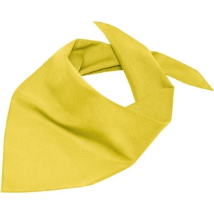 Bandana triangle Daiber 18