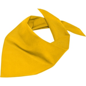 Bandana triangle Daiber 17