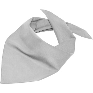 Bandana triangle Daiber 13