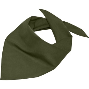 Bandana triangle Daiber 3