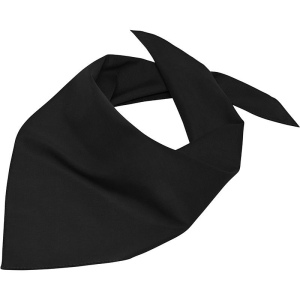 Bandana triangle Daiber 2