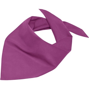 Bandana triangle Daiber 10