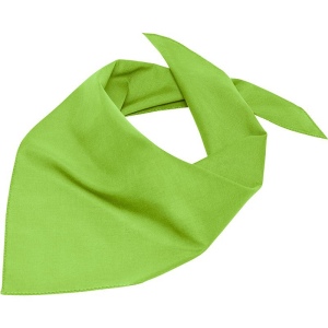 Bandana triangle Daiber 8