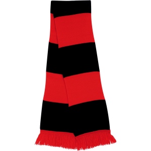 Écharpe bicolore "Team" 13