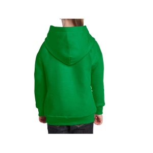 Sweat capuche enfant 31