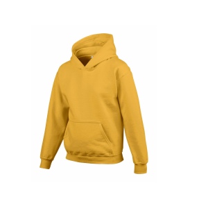 Sweat capuche enfant 38