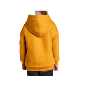 Sweat capuche enfant 22