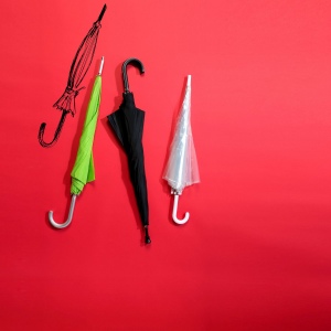 Parapluie golf Charles Dickens® Annabella 3