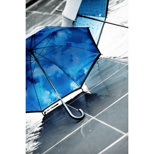 Parapluie golf bicolore Ronnie 5
