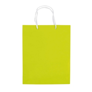 Moyen sac papier kraft 19