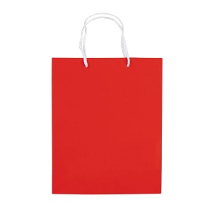 Moyen sac papier kraft 15