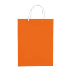 Sac papier Grand 17